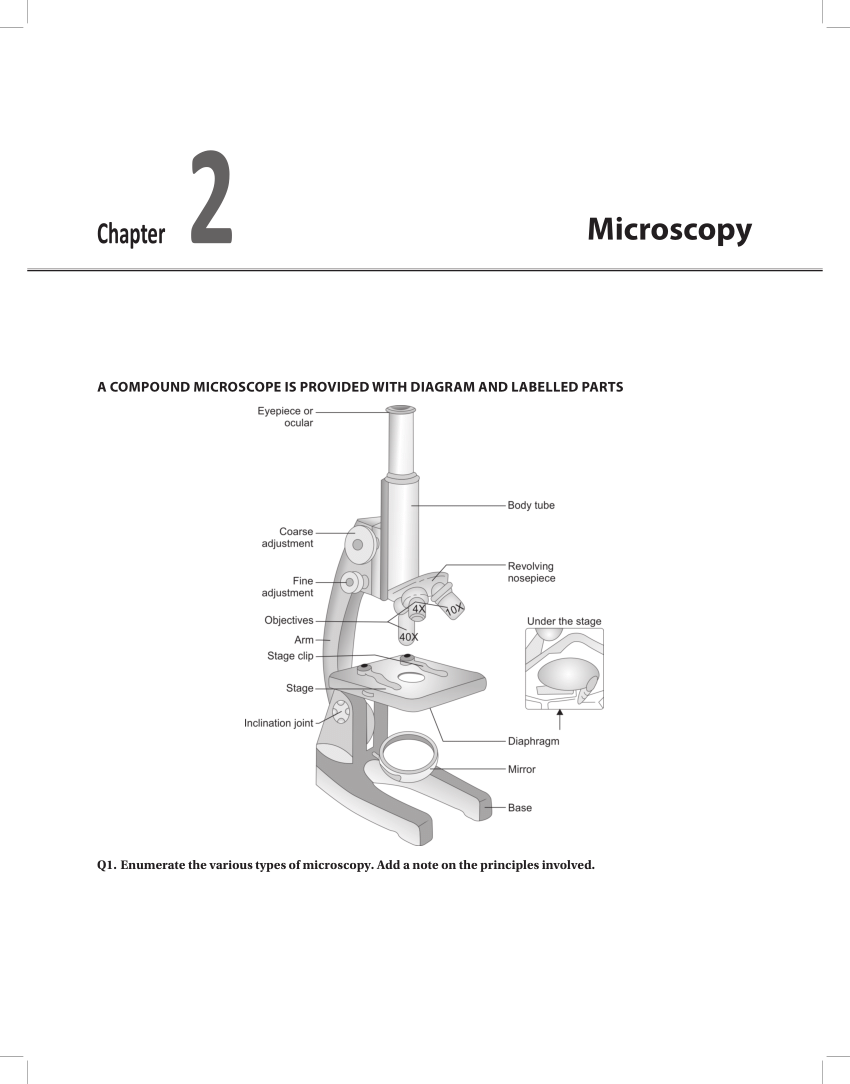 Pdf Microscopy