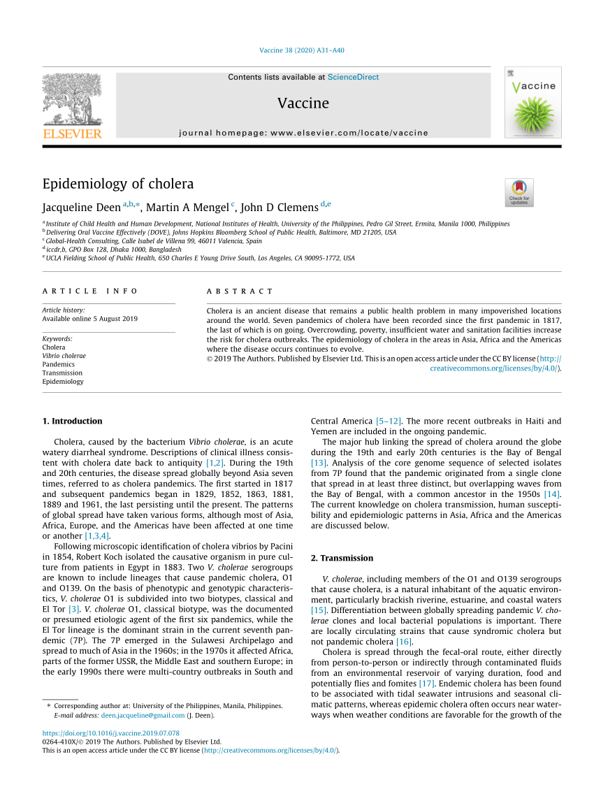 cholera case study pdf