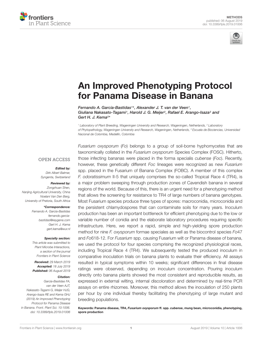 PDF) An Improved Phenotyping Protocol for Panama Disease in Banana