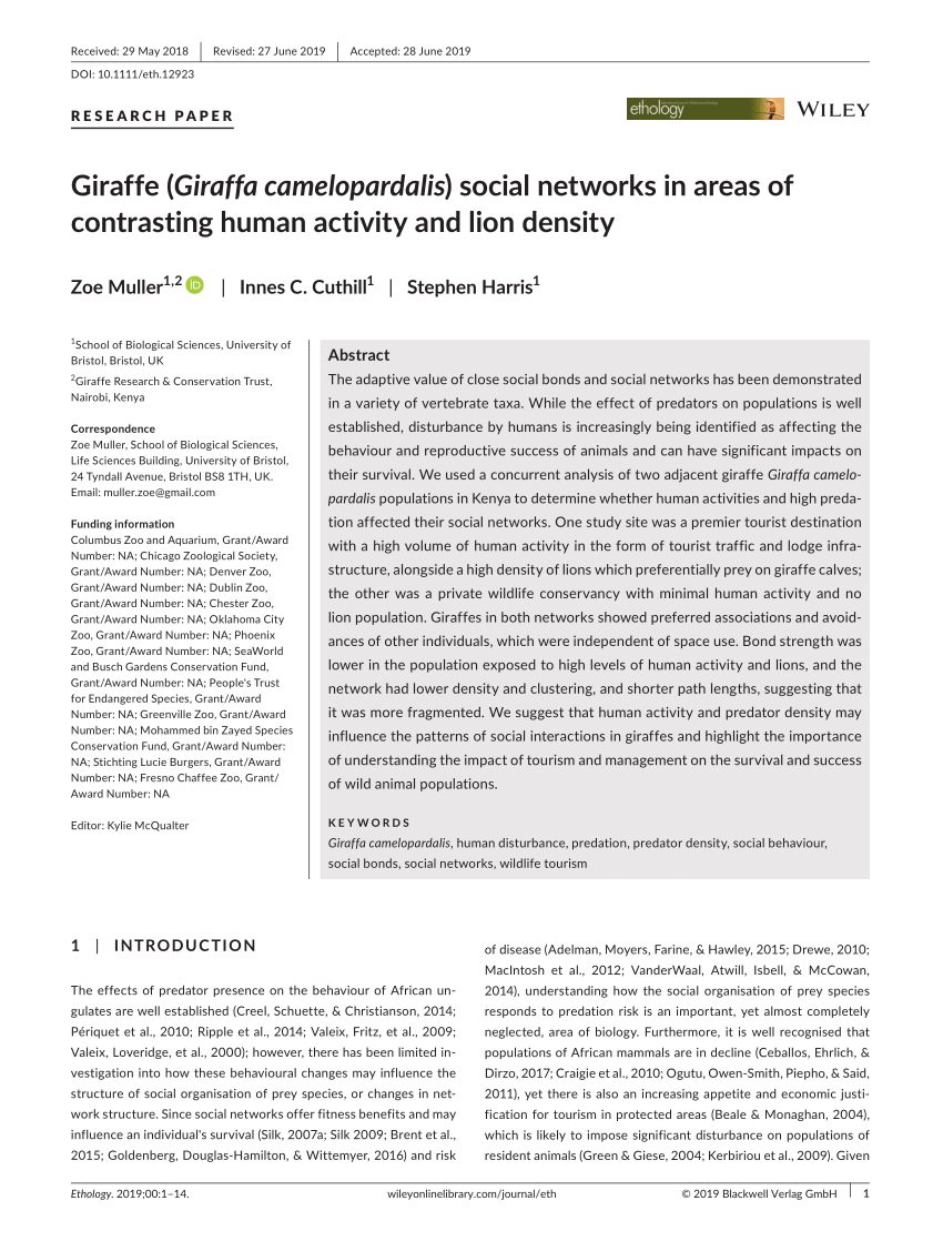 PDF) Giraffe (Giraffa camelopardalis) social networks in areas of contrasting human activity and lion density image