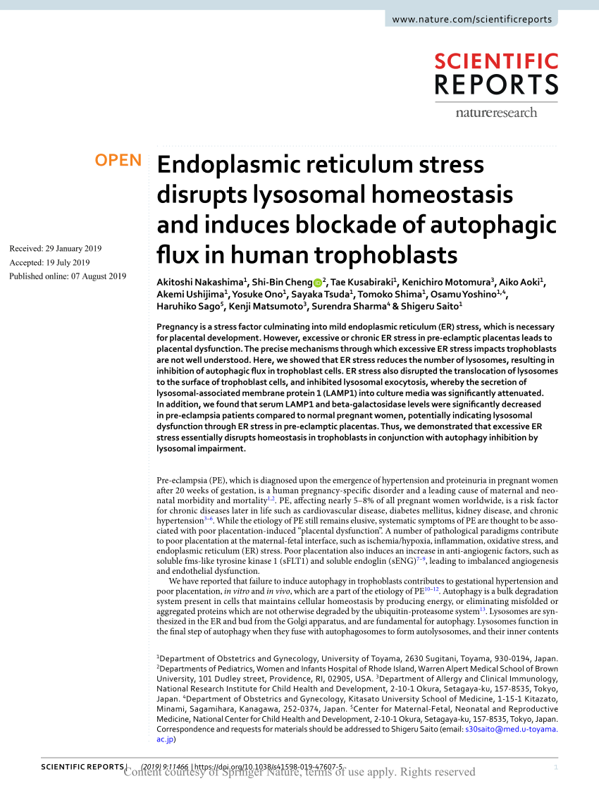 PDF) Endoplasmic reticulum stress disrupts lysosomal homeostasis and  induces blockade of autophagic flux in human trophoblasts