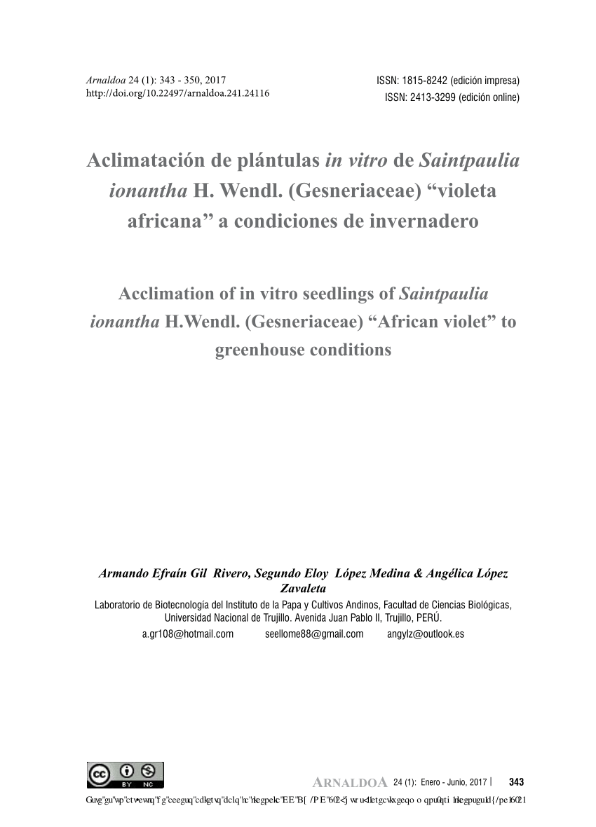 PDF) Acclimation of in vitro seedlings of Saintpaulia ionantha H.Wendl.  (Gesneriaceae) 