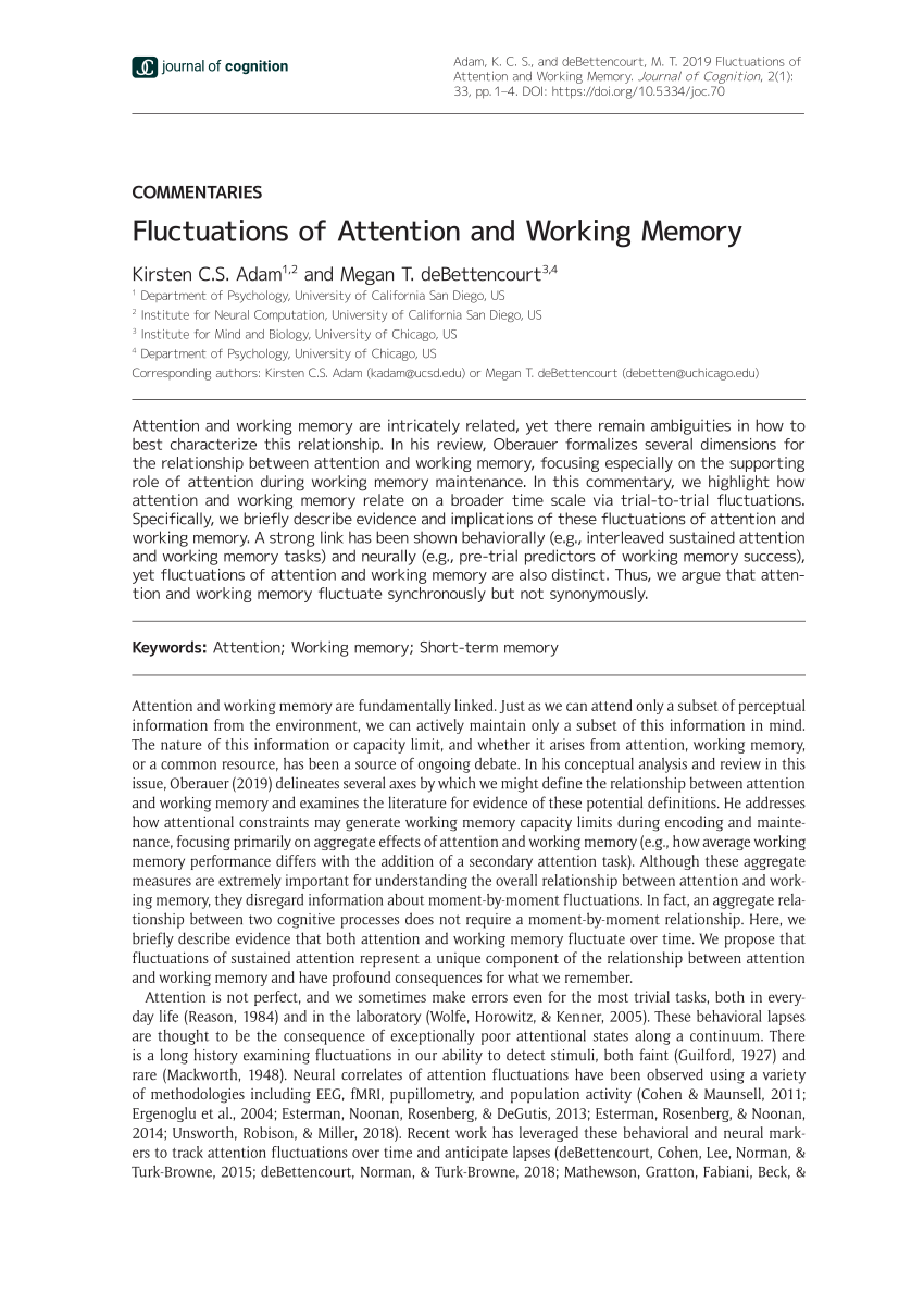 Pdf Fluctuations Of Attention And Working Memory