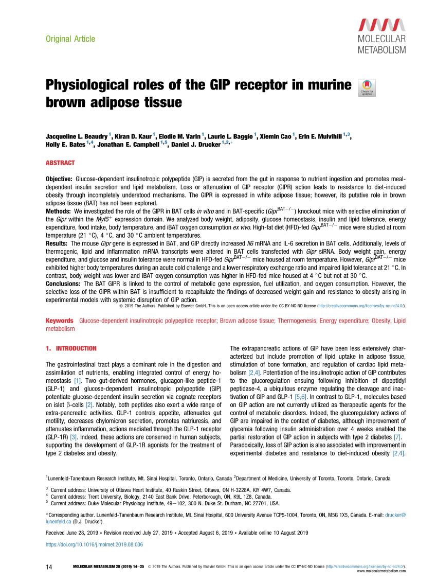 Pdf Physiological Roles Of The Gip Receptor In Murine Brown Adipose Tissue