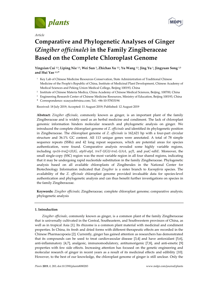 PDF) Comparative and Phylogenetic Analyses of Ginger (Zingiber 