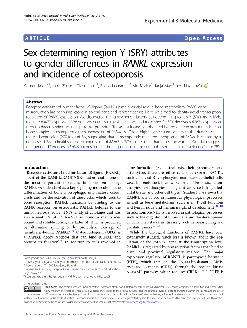 Pdf Sex Determining Region Y Sry Attributes To Gender Differences In Rankl Expression And 3708