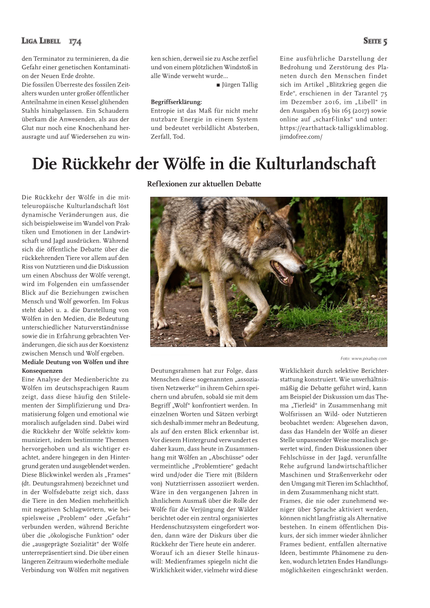 Pdf Die Ruckkehr Der Wolfe In Die Kulturlandschaft Reflexionen Zur Aktuellen Debatte