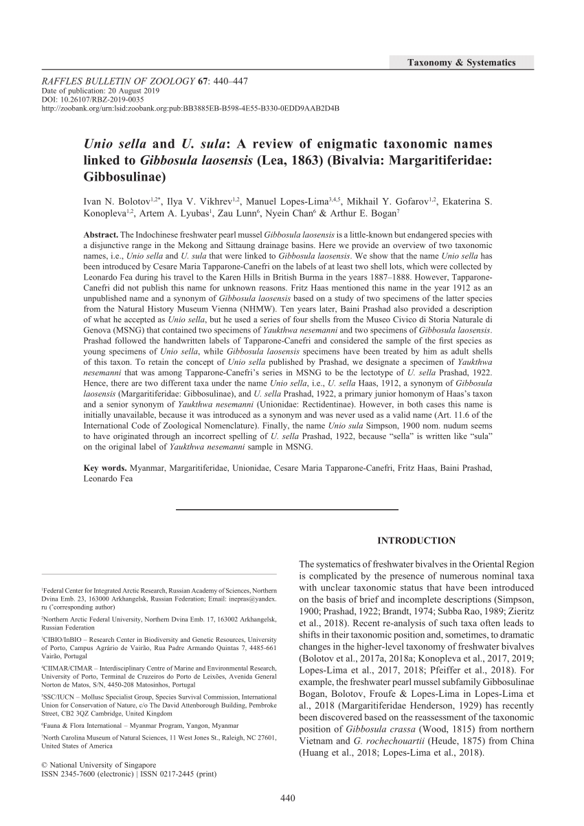 Pdf Unio Sella And U Sula A Review Of Enigmatic Taxonomic Names Linked To Gibbosula Laosensis Lea 1863 Bivalvia Margaritiferidae Gibbosulinae