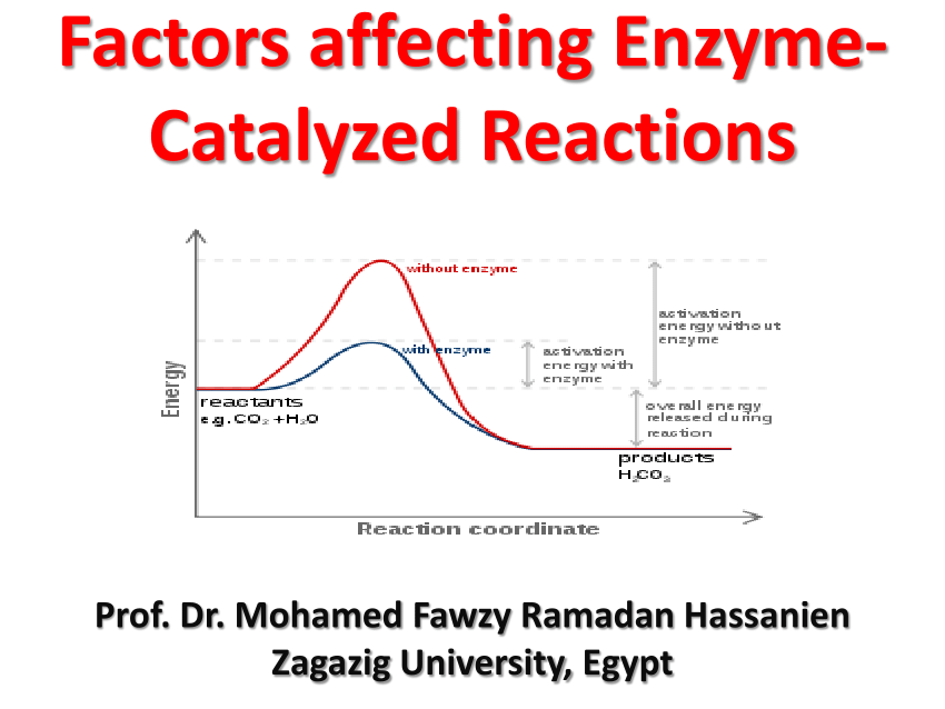 (PDF) Factors affecting Enzyme Catalyzed Reactions
