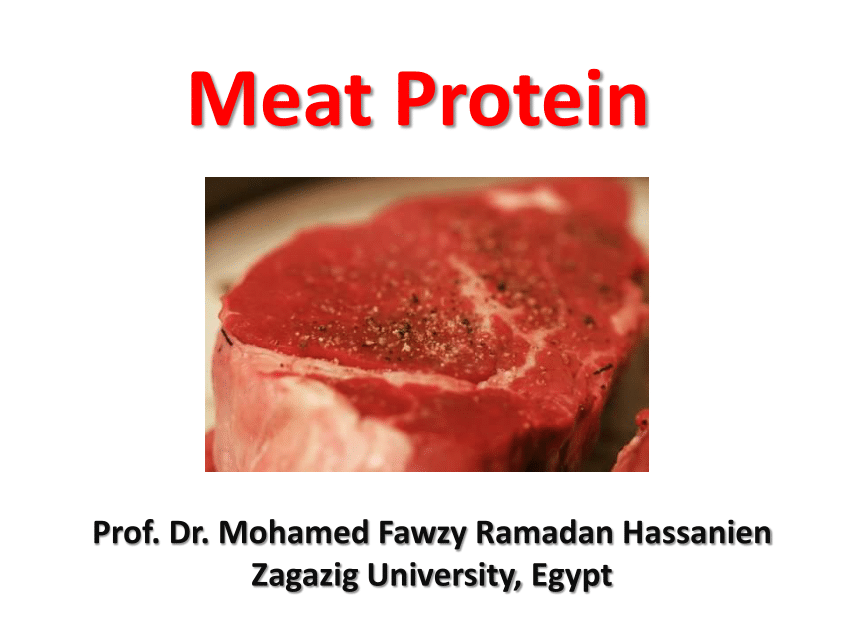 Pdf Meat Protein