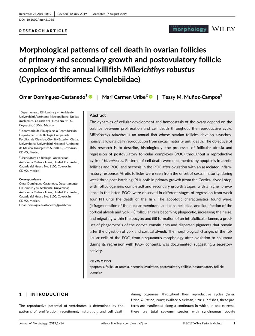 Pdf Morphological Patterns Of Cell Death In Ovarian Follicles Of Primary And Secondary Growth And Postovulatory Follicle Complex Of The Annual Killifish Millerichthys Robustus Cyprinodontiformes Cynolebiidae