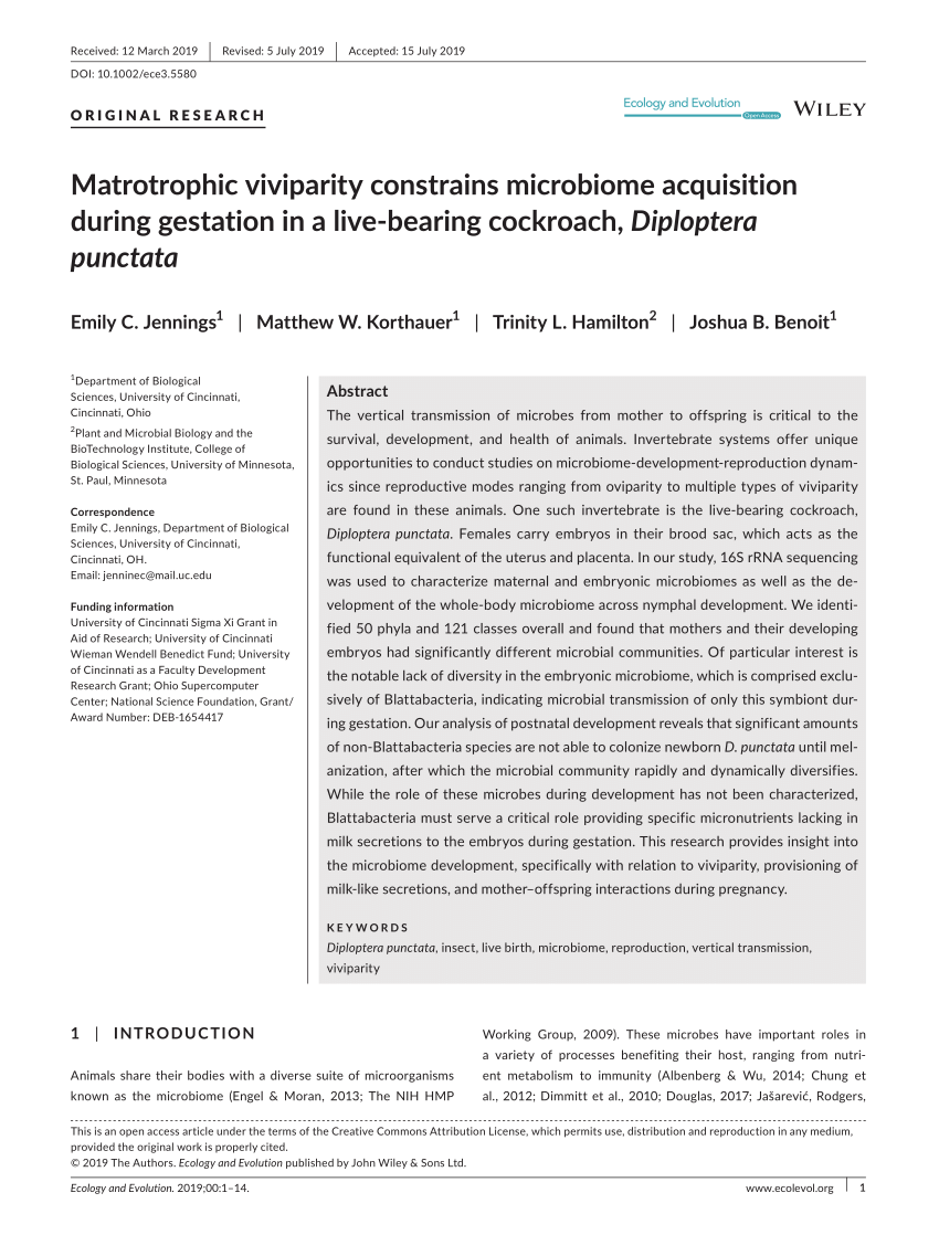 Pdf Matrotrophic Viviparity Constrains Microbiome Acquisition