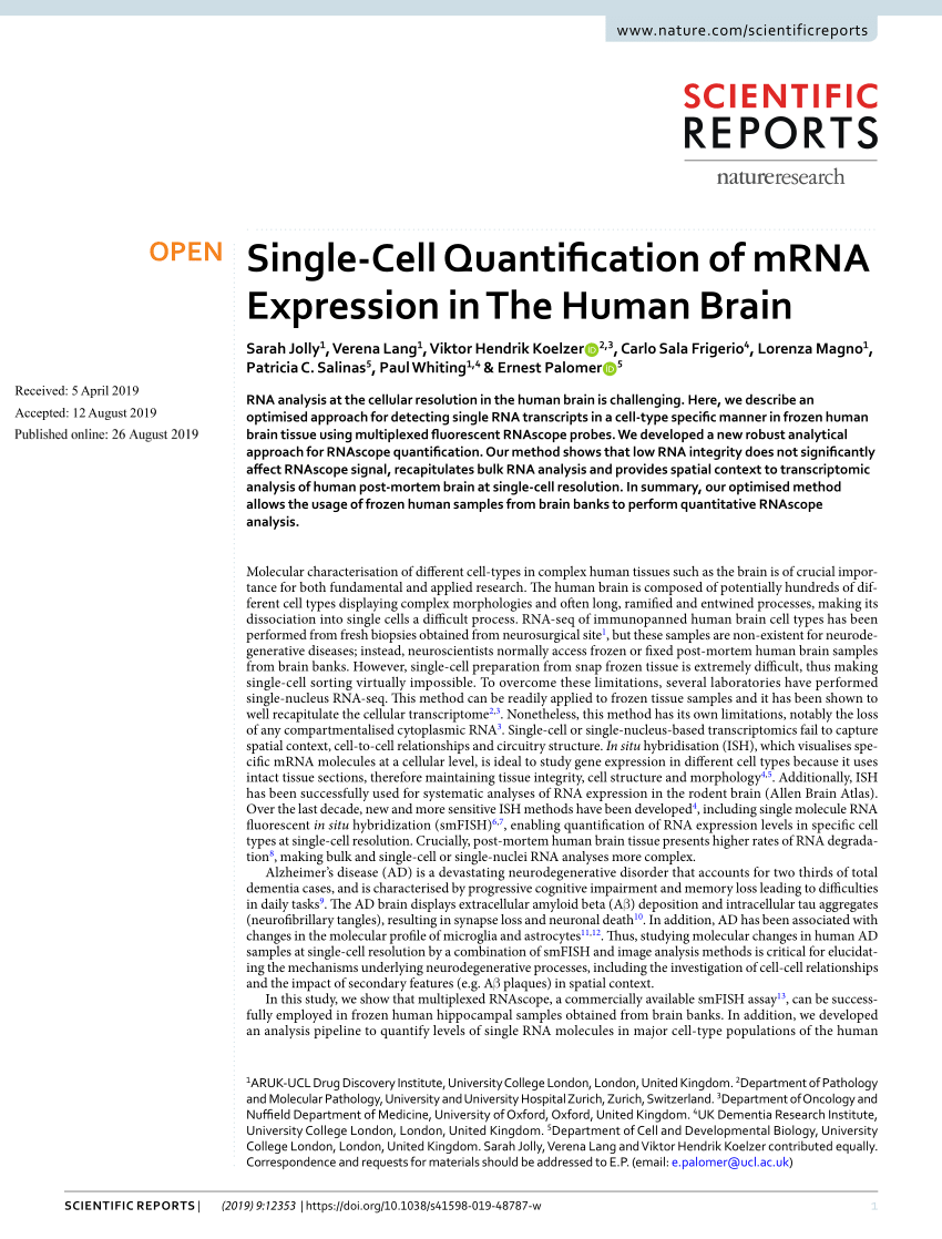 Getting Started with RNAscope™ Image Analysis in HALO® - Indica Labs