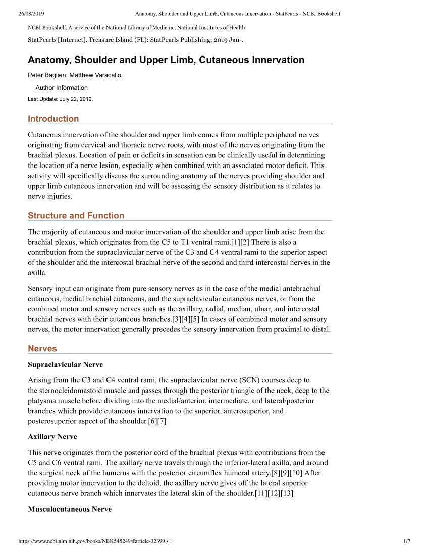 Figure, Diagram showing the innervation of] - StatPearls - NCBI Bookshelf