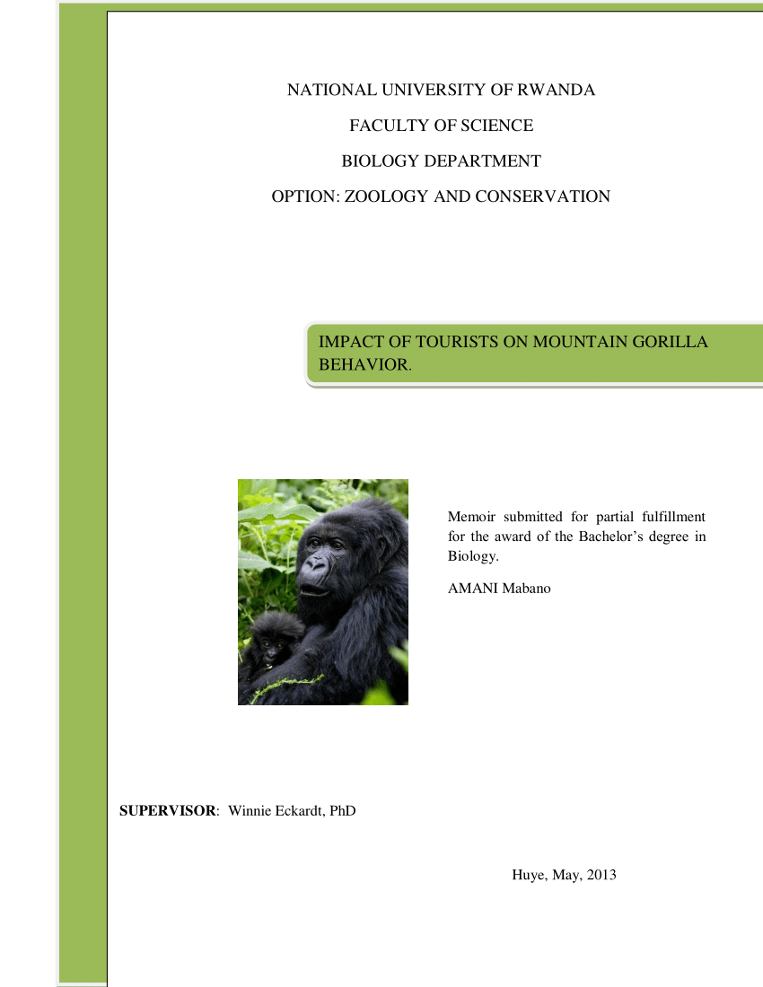 (PDF) Impact of tourists on mountain gorilla behavior