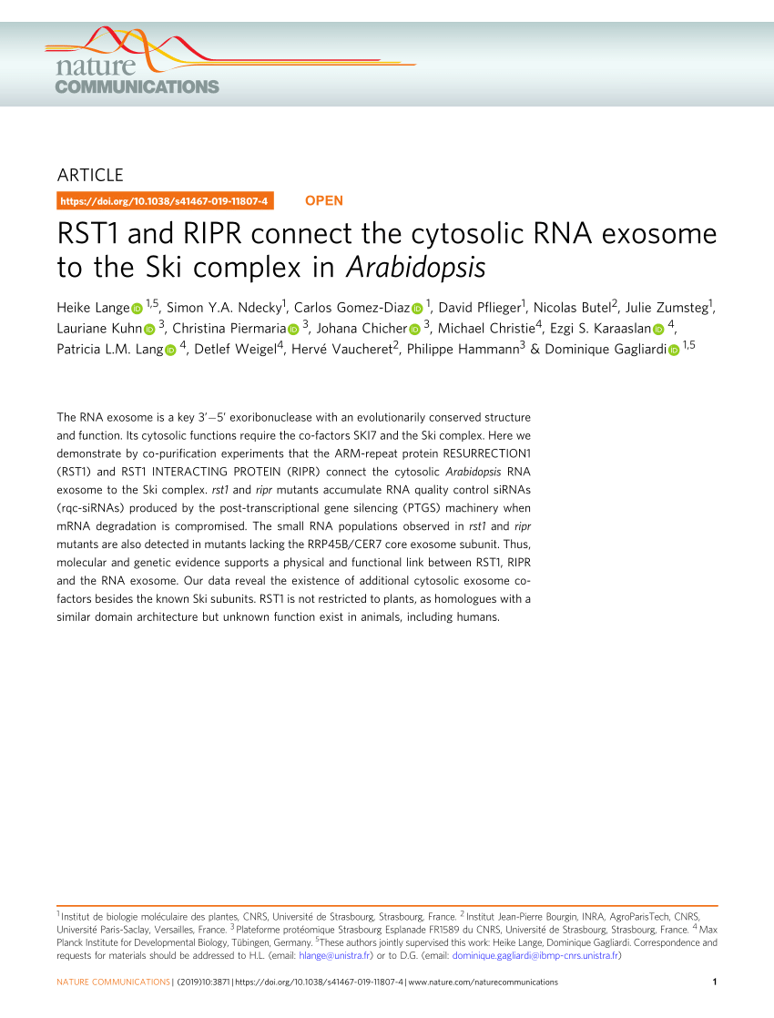 PDF) RST1 and RIPR connect the cytosolic RNA exosome to the Ski ...