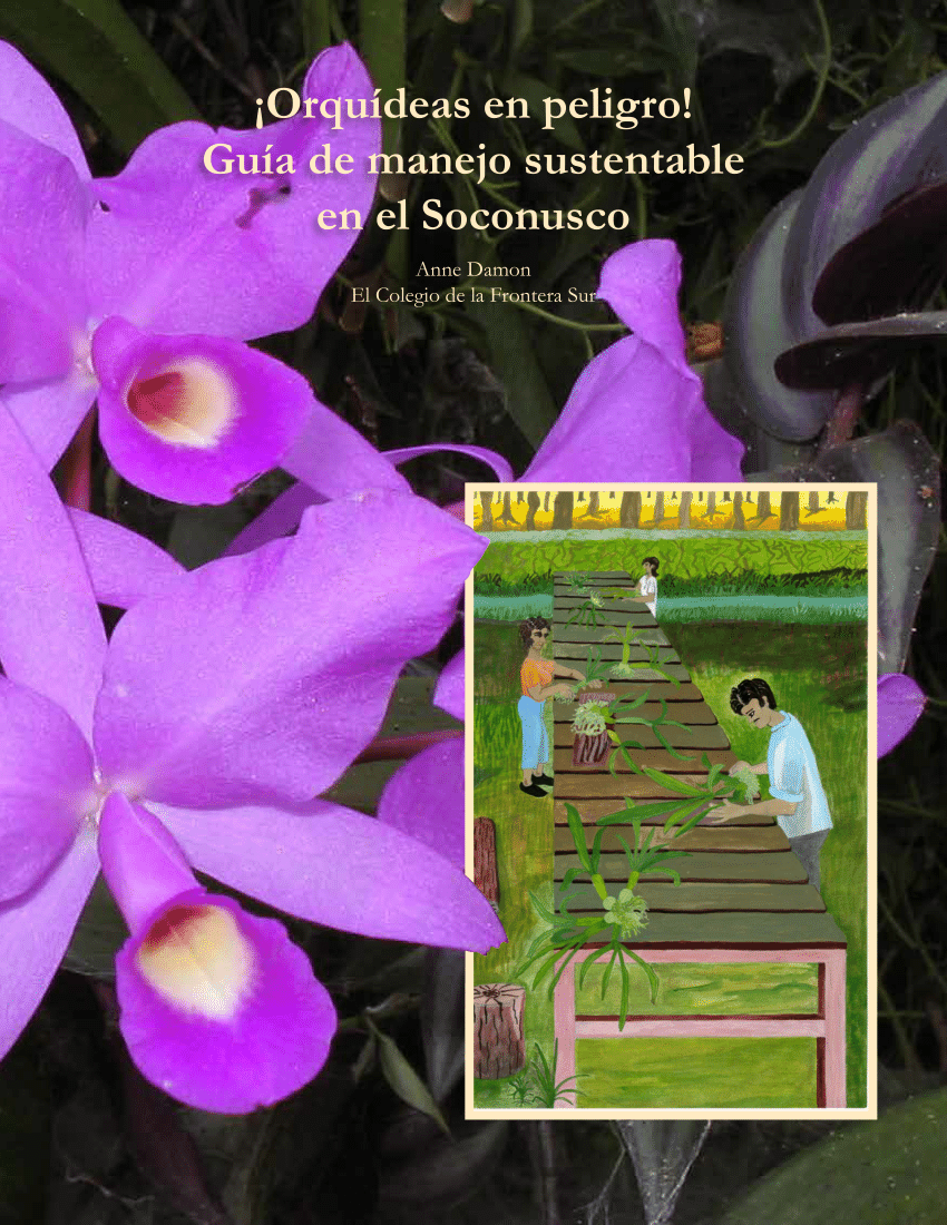 PDF) ¡Orquídeas en peligro! de manejo el Soconusco