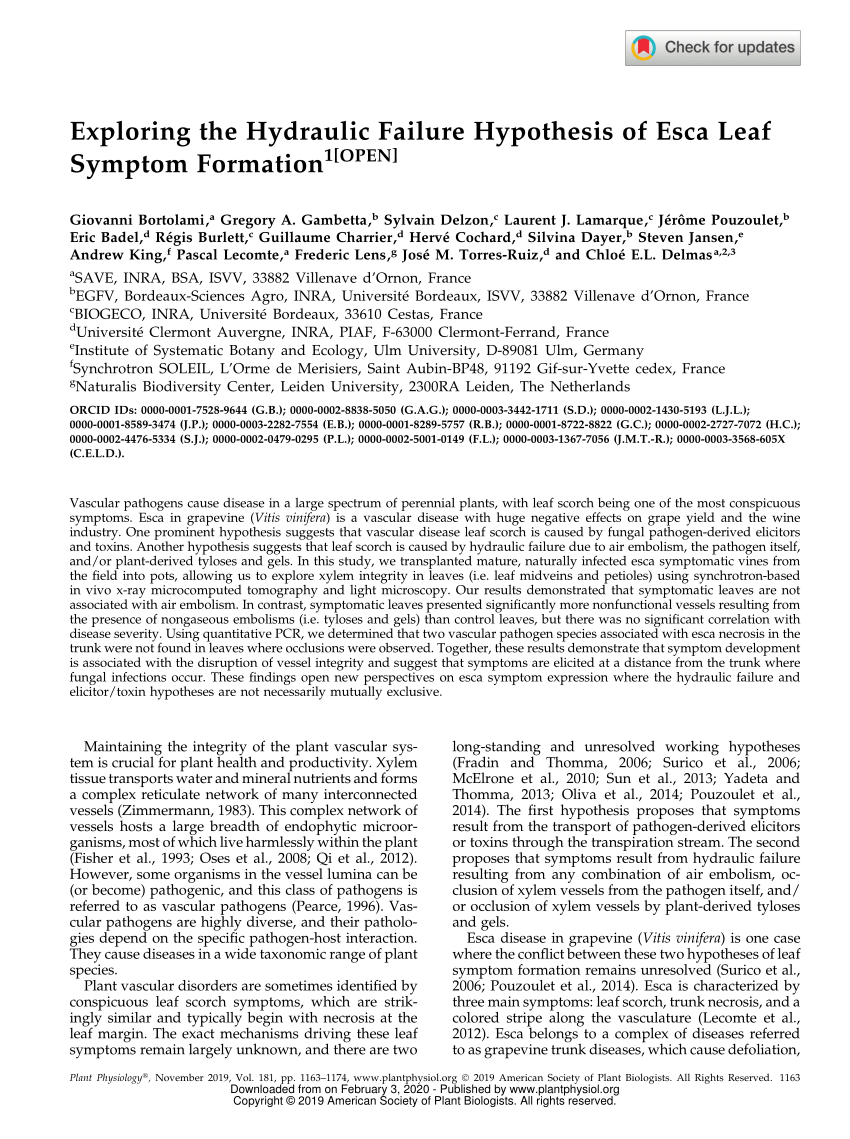Pdf Exploring The Hydraulic Failure Hypothesis Of Esca Leaf Symptom Formation