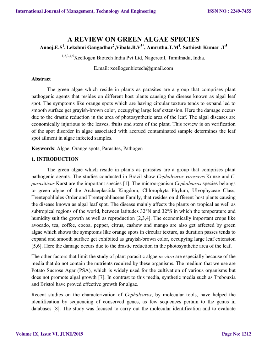 research paper on algae pdf