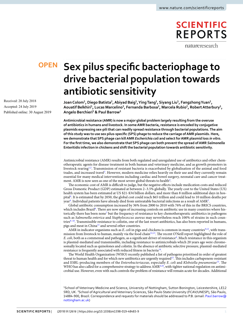 Pdf Sex Pilus Specific Bacteriophage To Drive Bacterial Population Towards Antibiotic Sensitivity