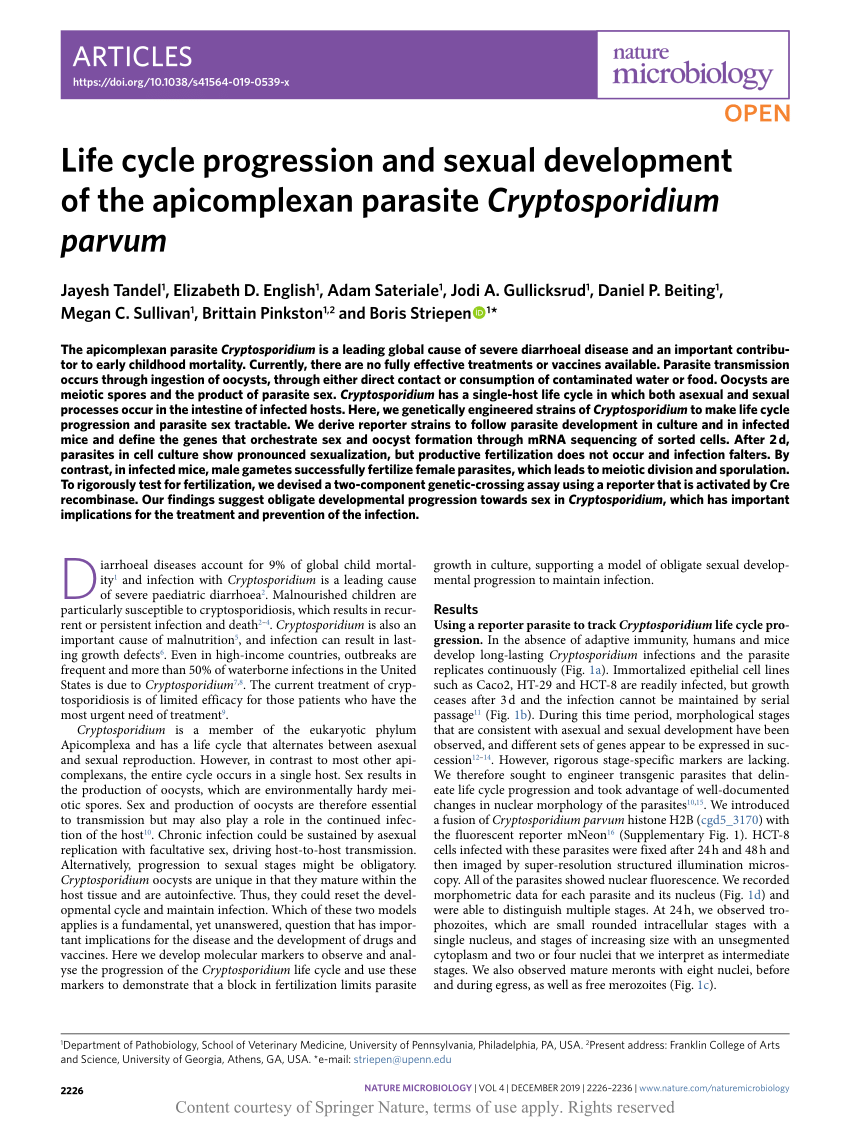 (PDF) Life cycle progression and sexual development of the ...