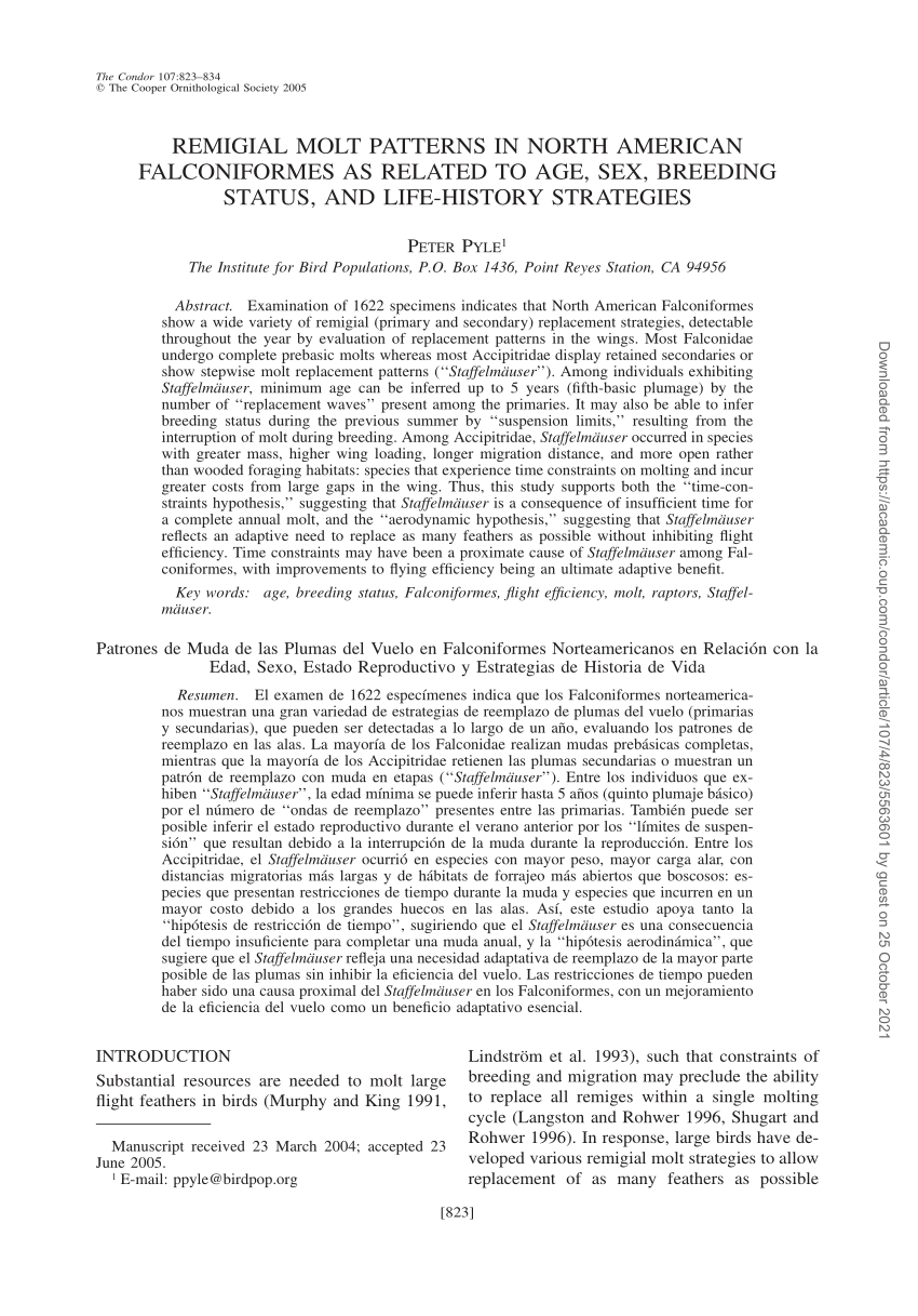 Pdf Remigial Molt Patterns In North American Falconiformes As Related To Age Sex Breeding 