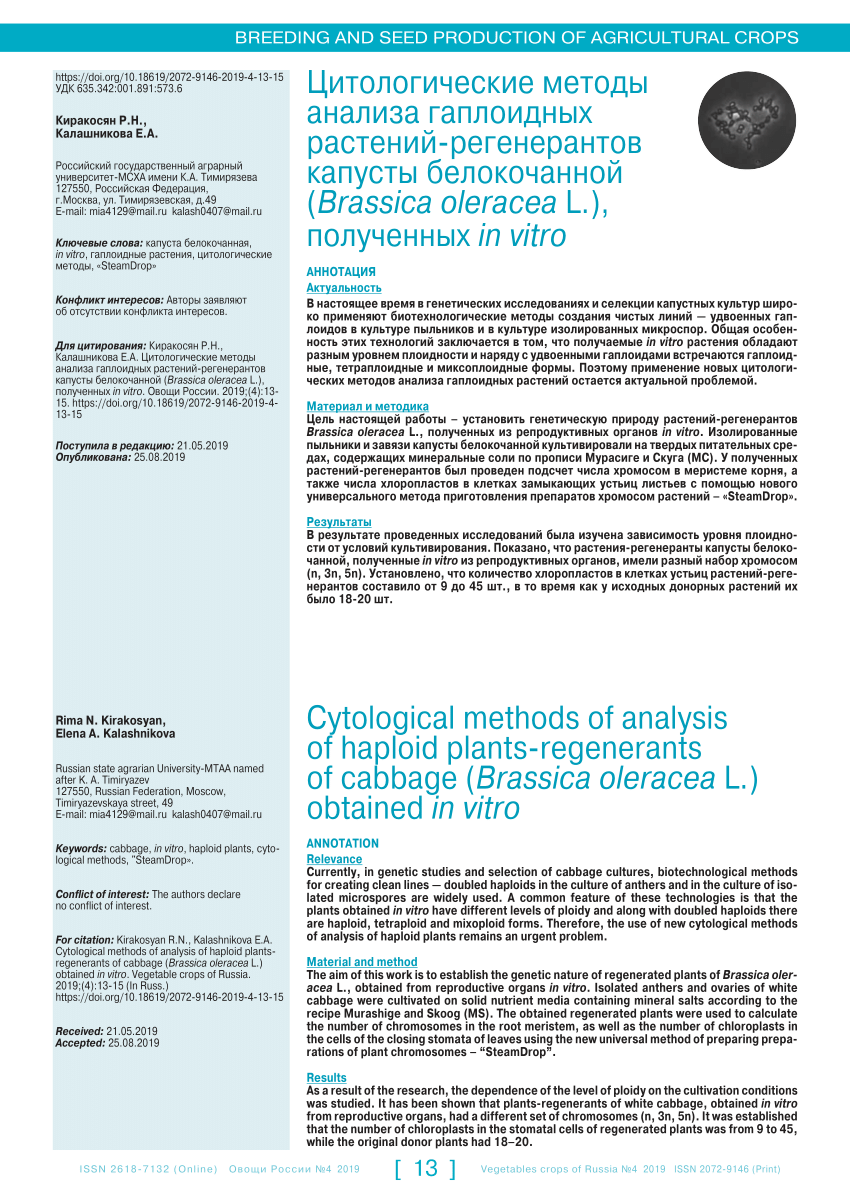 PDF) Cytological methods of analysis of haploid plants-regenerants of  cabbage (Brassica oleracea L.) obtained in vitro