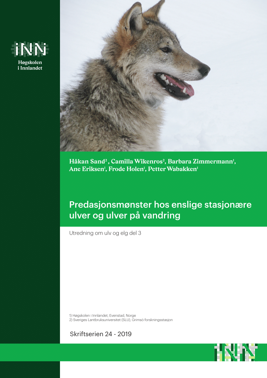 (PDF) Predasjonsmønster hos enslige ulver og ulver på vandring ...