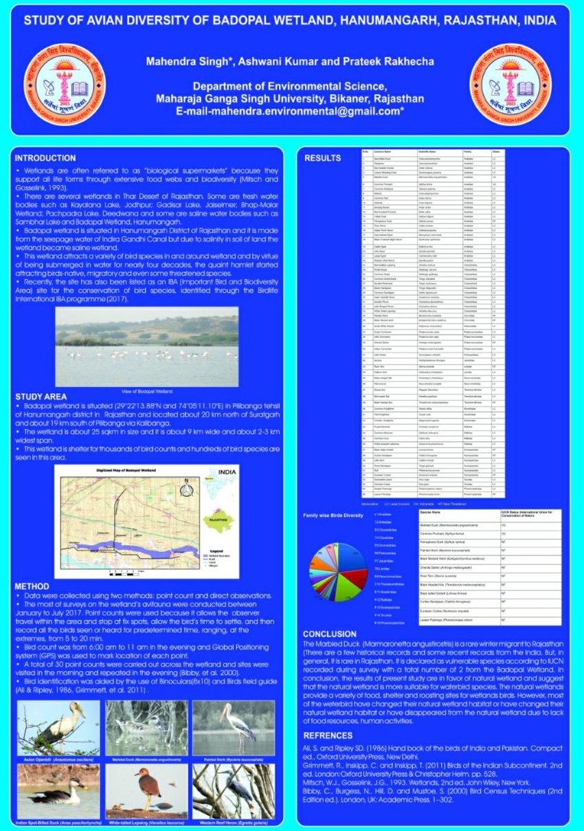 (PDF) Stydy of Avian Diversity of Badopal wetland, Hanumangarh ...