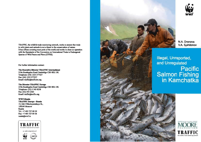 PDF) Illegal, Unreported and Unregulated Pacific Salmon Fishing in
