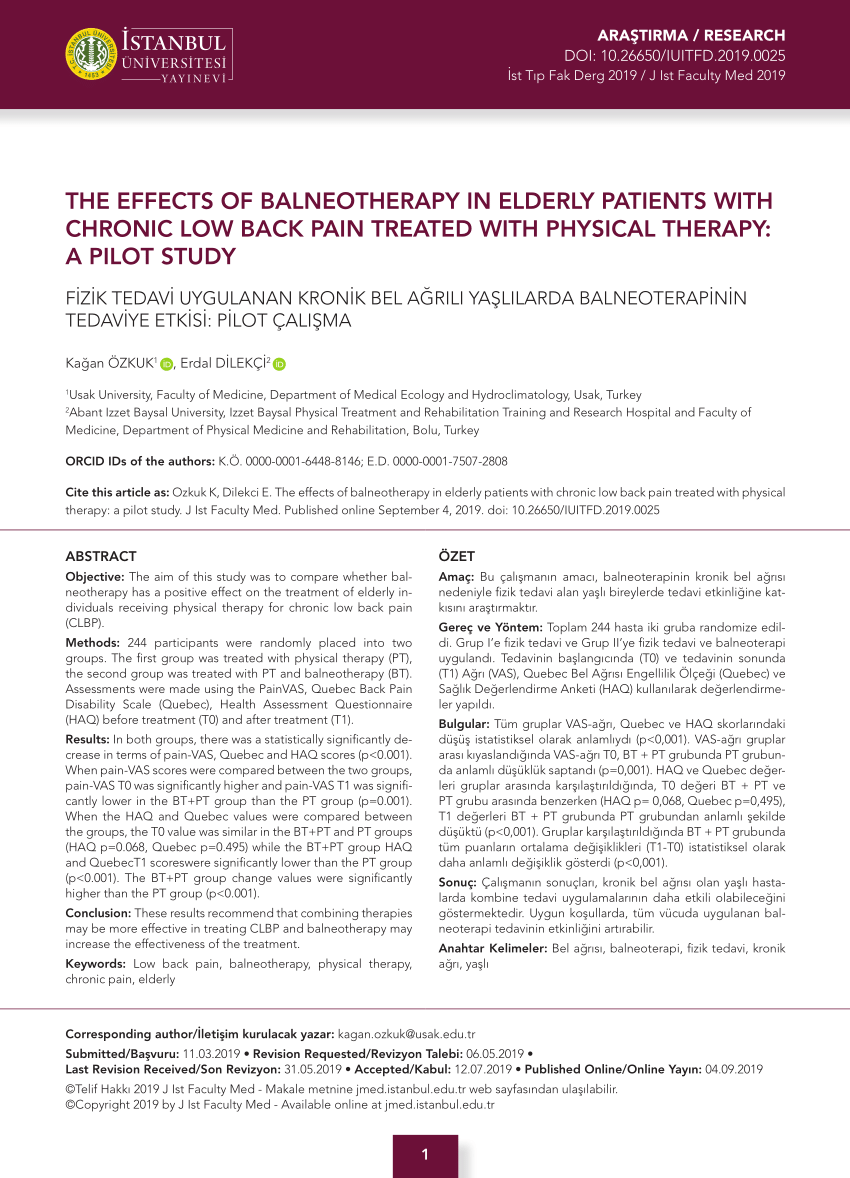 Pdf The Effects Of Balneotherapy In Elderly Patients With Chronic Low Back Pain Treated With Physical Therapy A Pilot Study