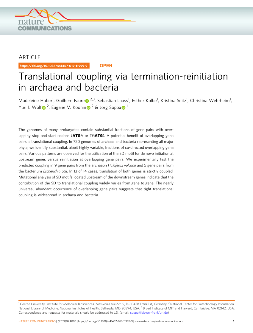 PDF Translational coupling via termination reinitiation in