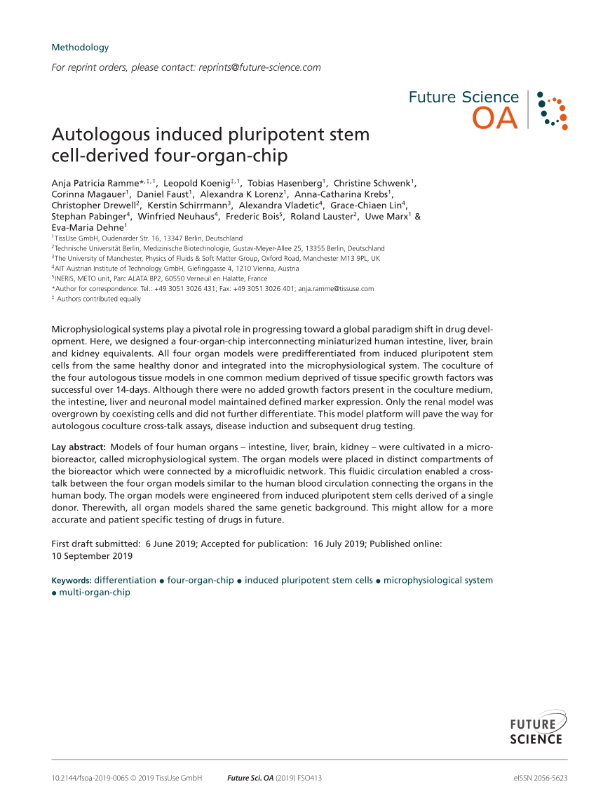 autologous induced pluripotent stem cells