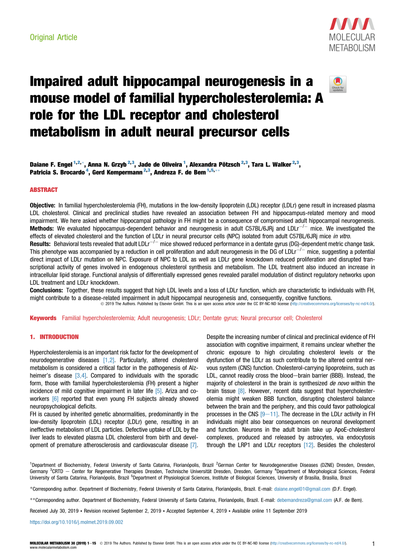 Pdf Impaired Adult Hippocampal Neurogenesis In A Mouse Model Of Familial Hypercholesterolemia A Role For The Ldl Receptor And Cholesterol Metabolism In Adult Neural Precursor Cells
