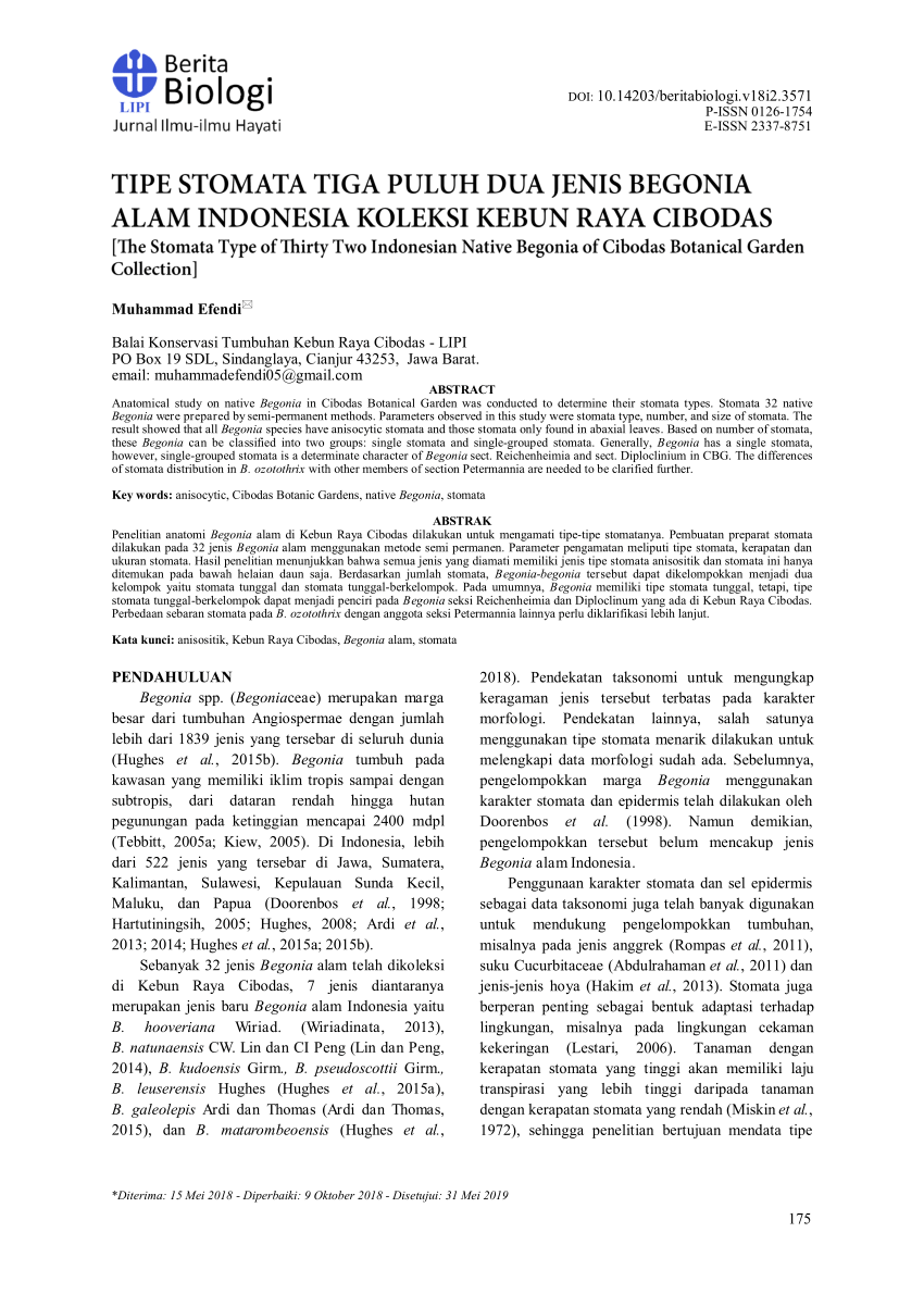 Pdf Berita Biologi Stomata Publish