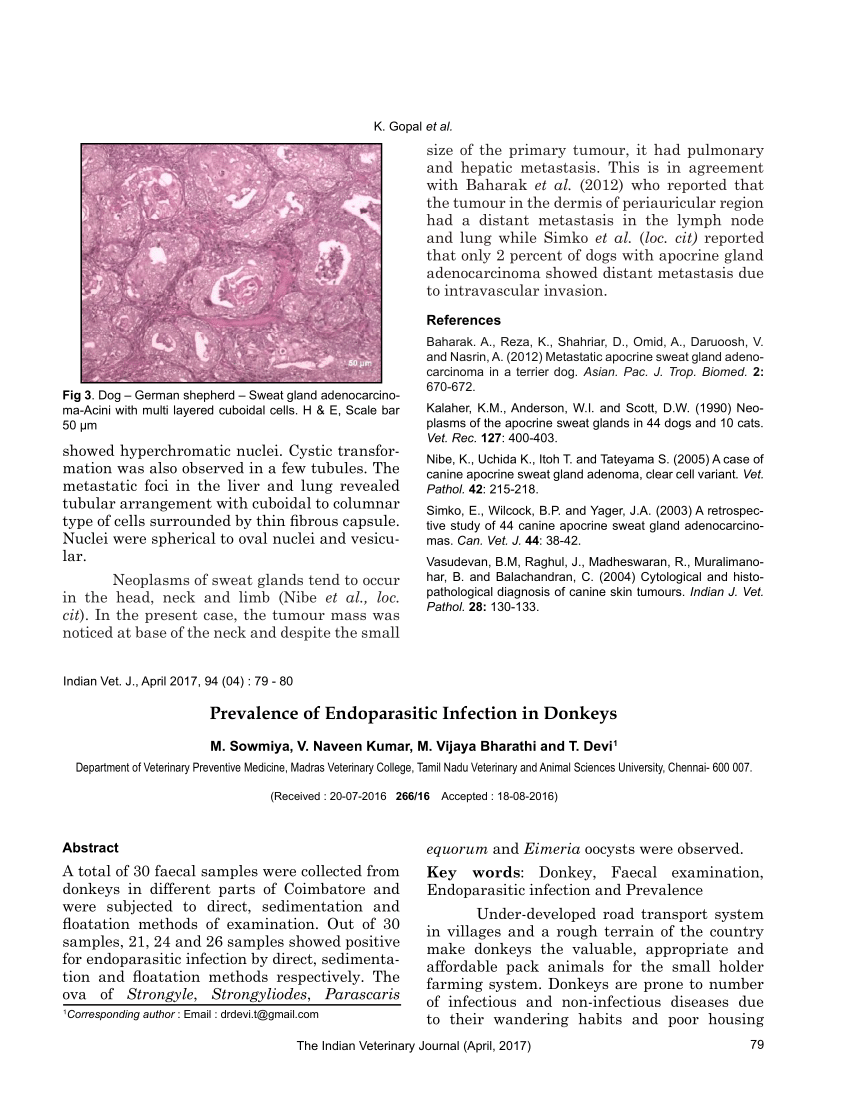 Cuboidal And Polygonal Cells Are Arranged In Glandular And Solid Download Scientific Diagram