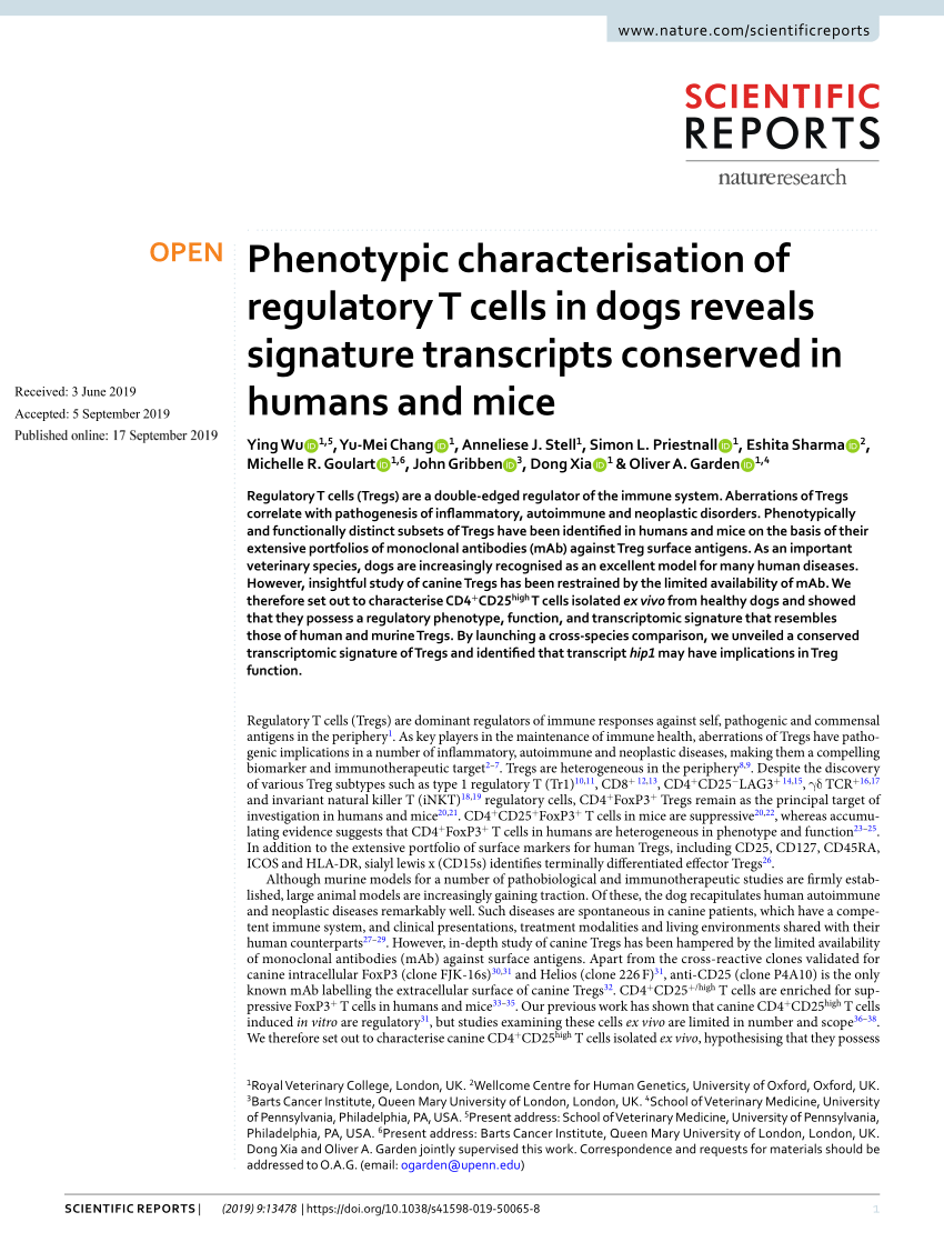 Pdf Phenotypic Characterisation Of Regulatory T Cells In Dogs