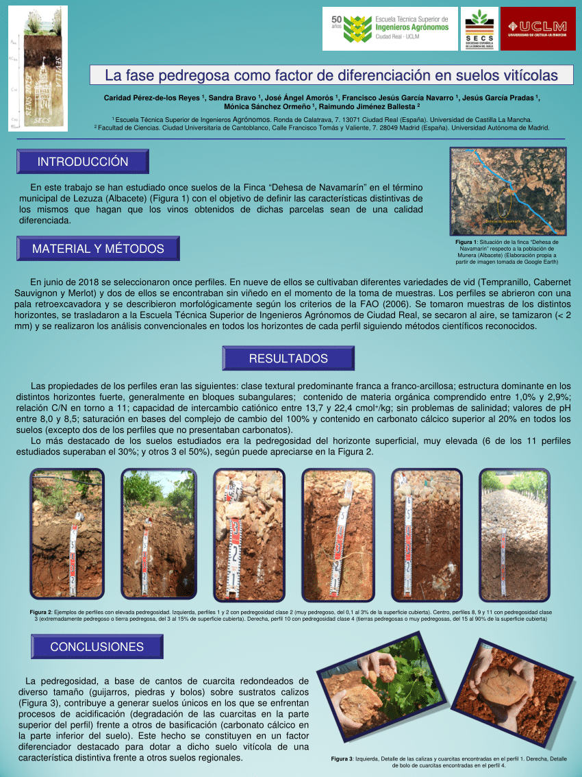 (PDF) La fase pedregosa como factor diferenciador en suelos vitícolas