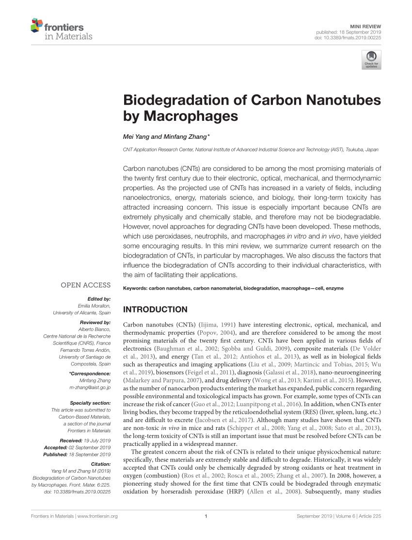 Carbon Nanotube Degradation in Macrophages: Live Nanoscale