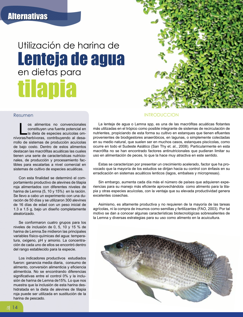 PDF) Utilización de harina de Lenteja de agua en dietas para tilapia
