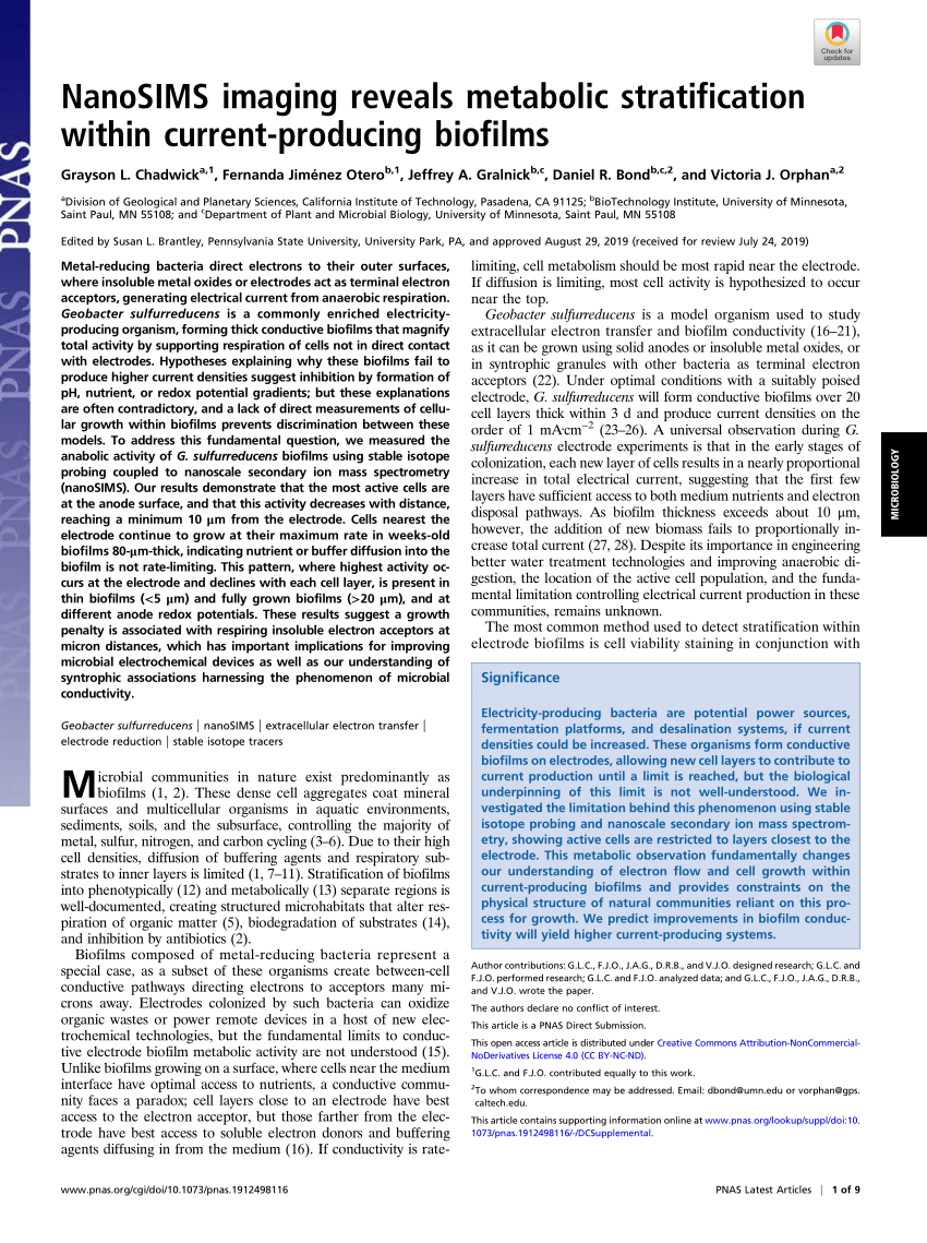 PDF NanoSIMS imaging reveals metabolic stratification within ...