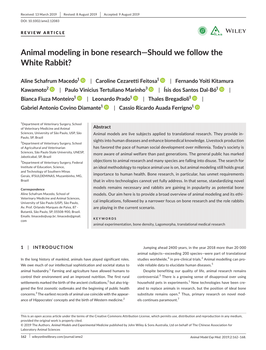 PDF) Animal modeling in bone research—Should we follow the White Rabbit?