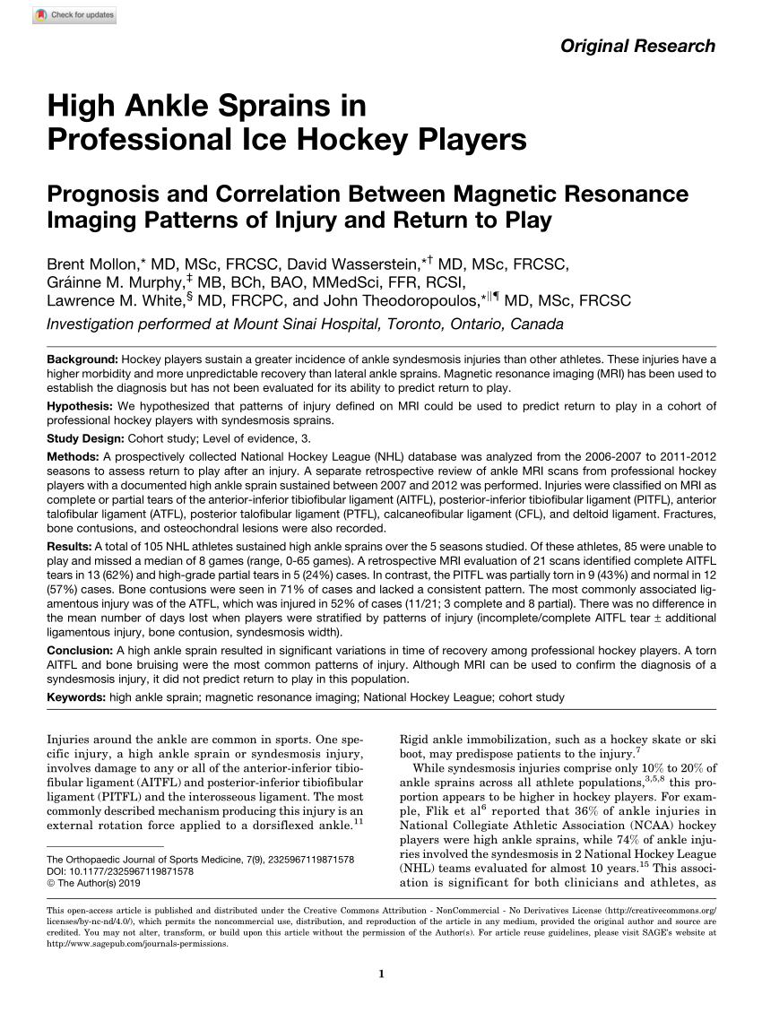 PDF) High Ankle Sprains in Professional Ice Hockey Players