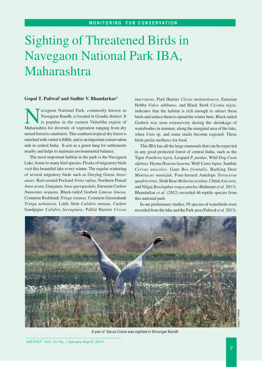 PDF) Sighting of Threatened Birds in Navegaon National Park IBA, Maharashtra