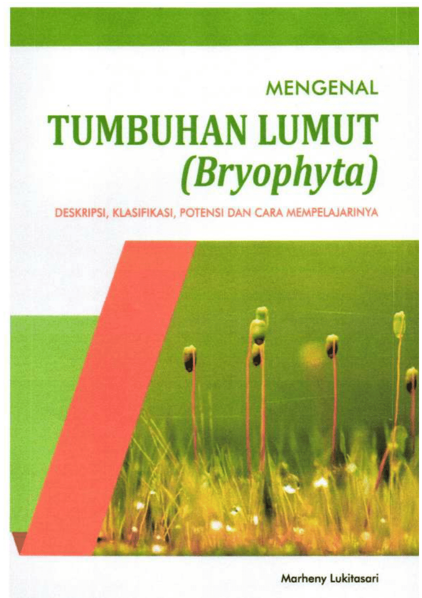 download buku anatomi tumbuhan
