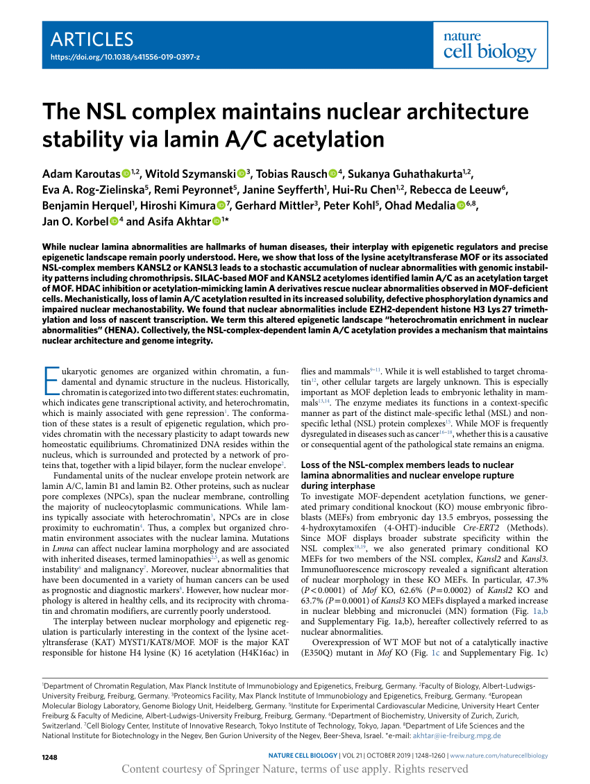 thesis nuclear architecture
