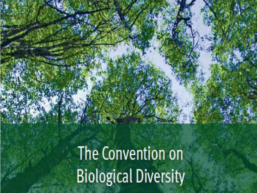 (PDF) Convention on Biological Diversity