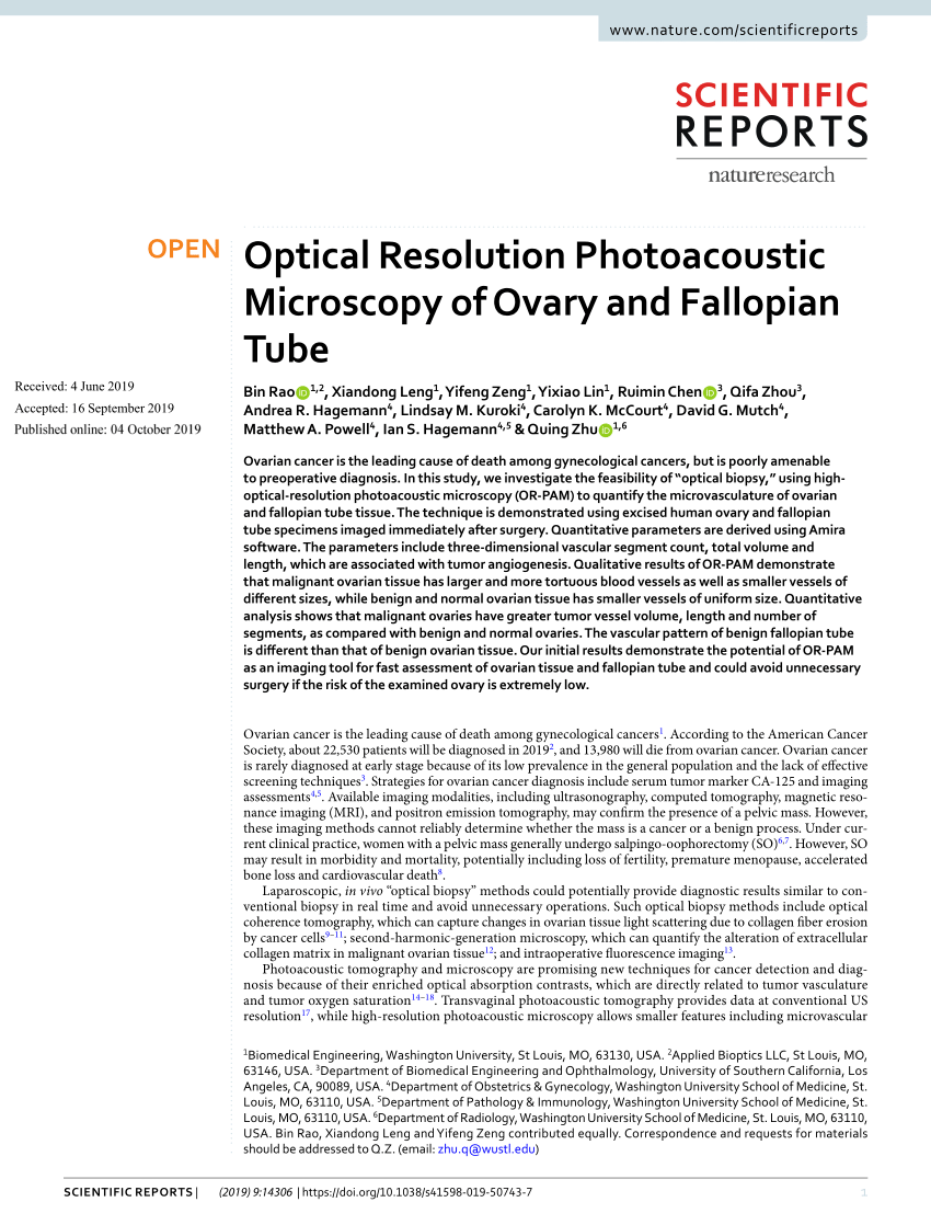 https://i1.rgstatic.net/publication/336261112_Optical_Resolution_Photoacoustic_Microscopy_of_Ovary_and_Fallopian_Tube/links/5d974113299bf1c363f7a504/largepreview.png