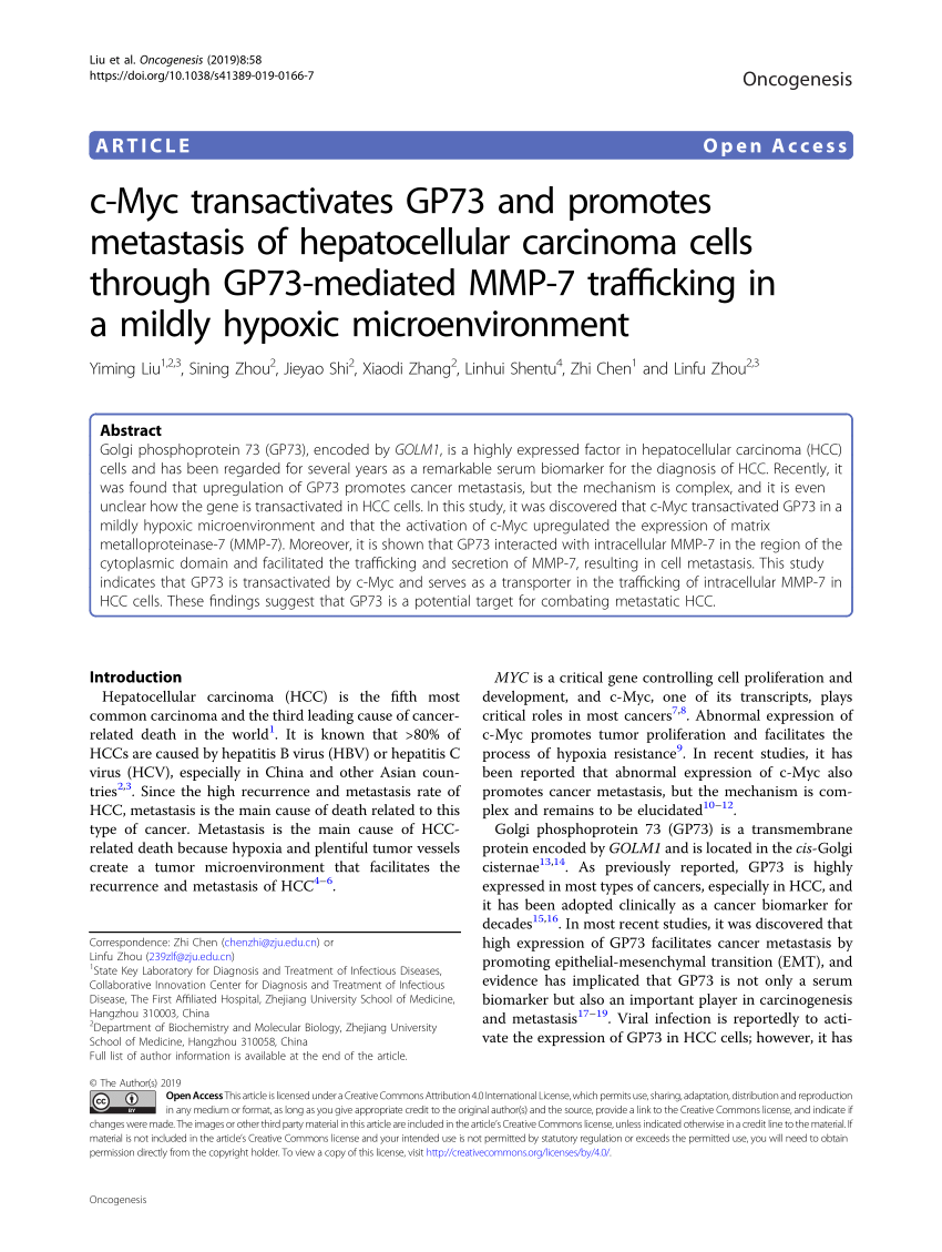 Pdf C Myc Transactivates Gp73 And Promotes Metastasis Of Hepatocellular Carcinoma Cells Through Gp73 Mediated Mmp 7 Trafficking In A Mildly Hypoxic Microenvironment