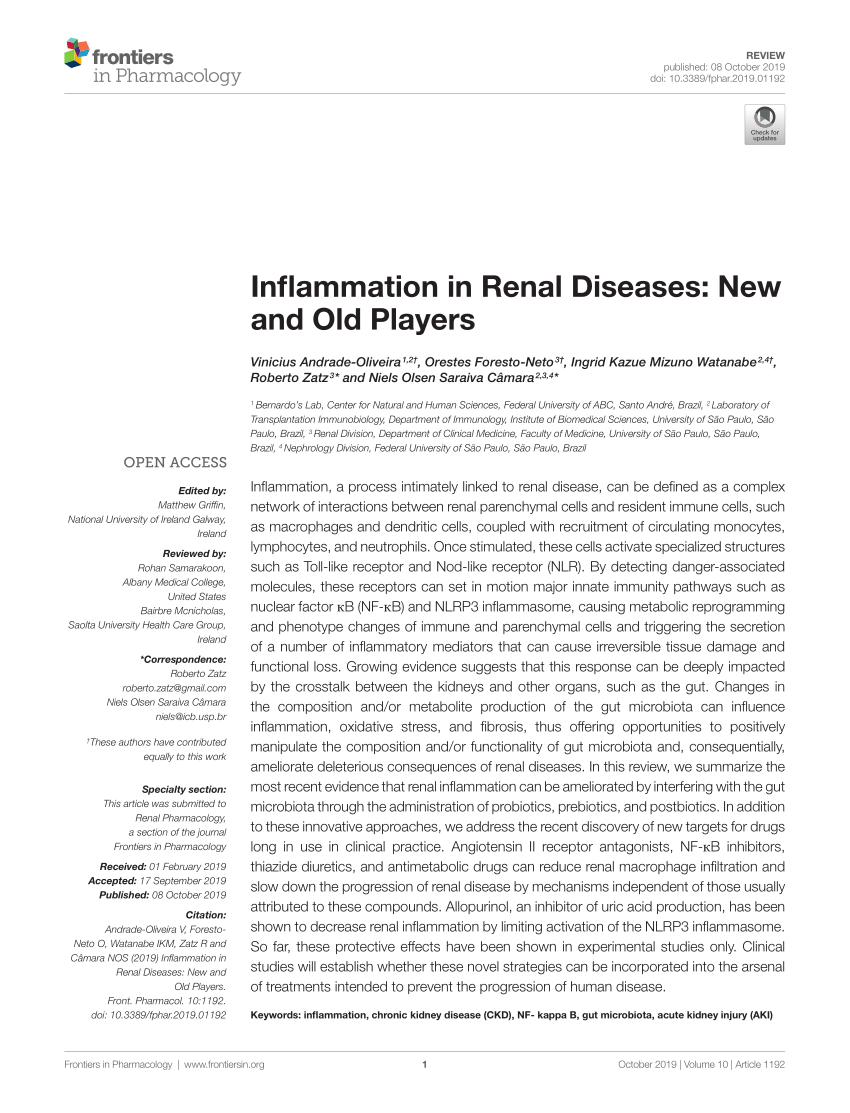 PDF) Inflammation in Renal Diseases: New and Old Players